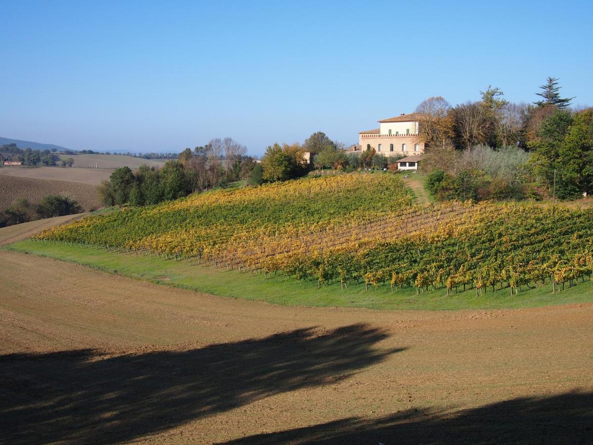Agriturismo Poggiarellino - Montalcino Dış mekan fotoğraf