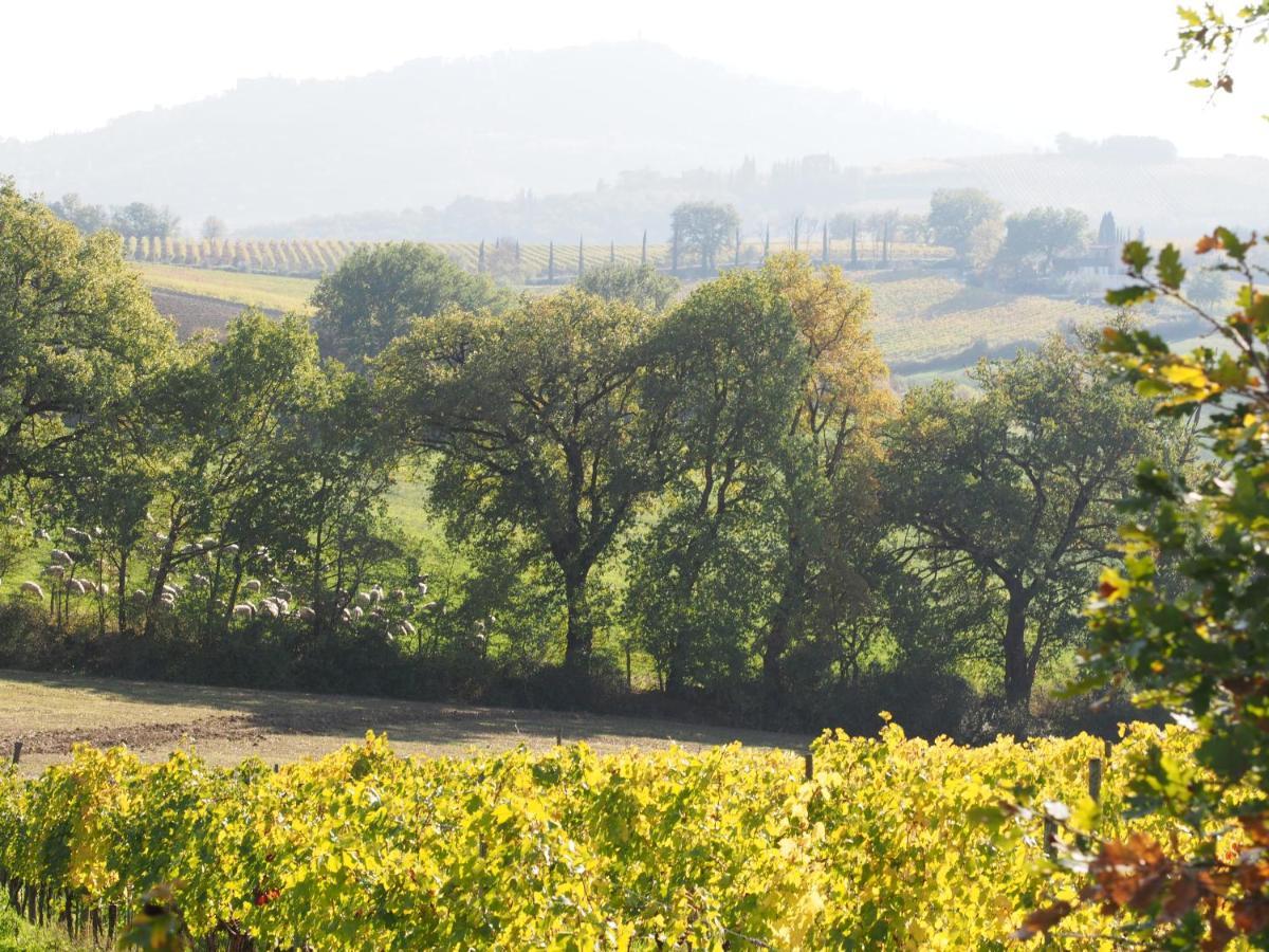 Agriturismo Poggiarellino - Montalcino Dış mekan fotoğraf