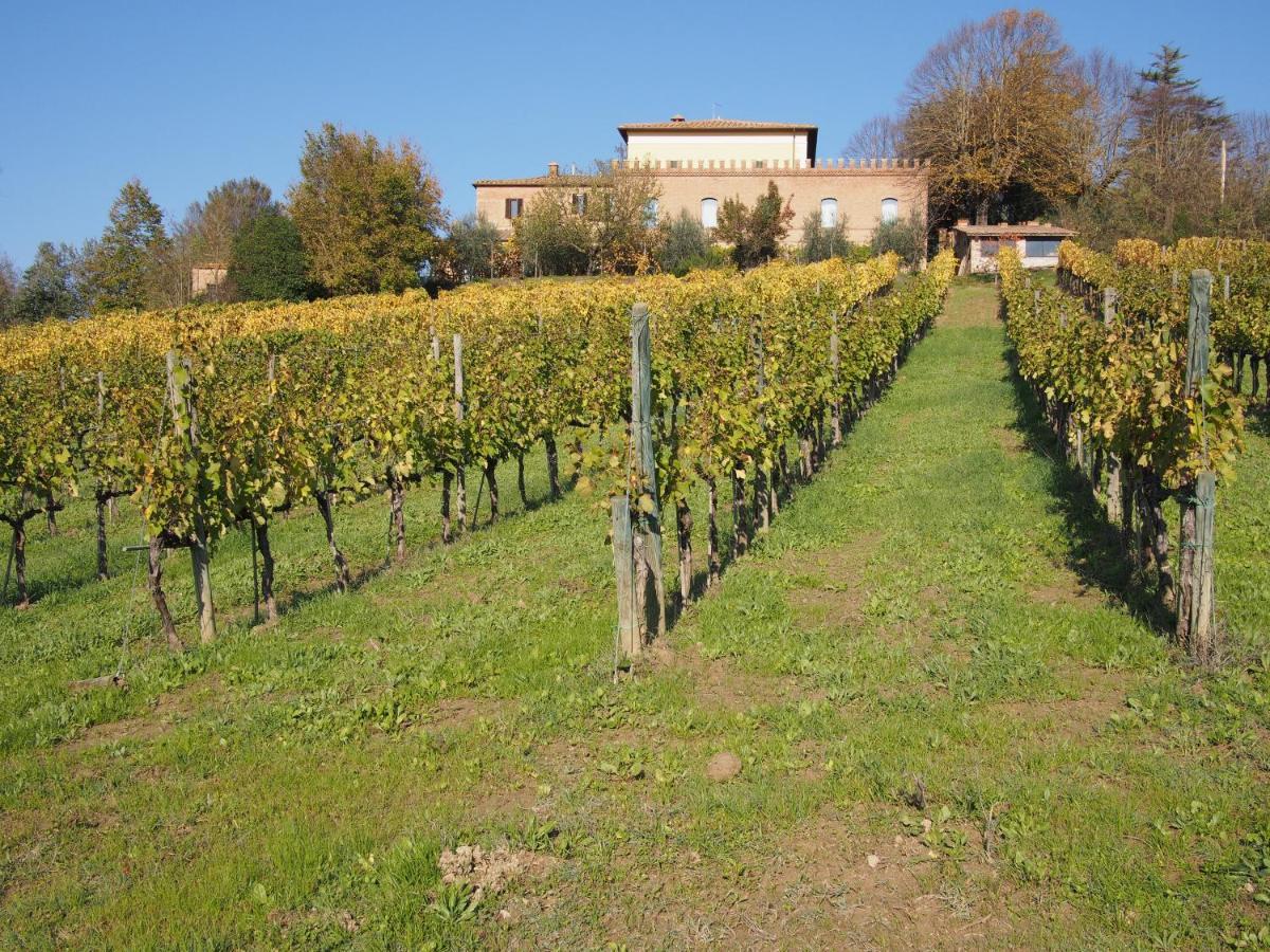 Agriturismo Poggiarellino - Montalcino Dış mekan fotoğraf