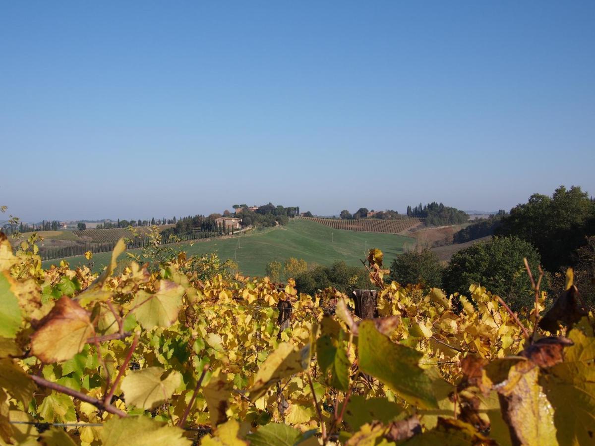 Agriturismo Poggiarellino - Montalcino Dış mekan fotoğraf