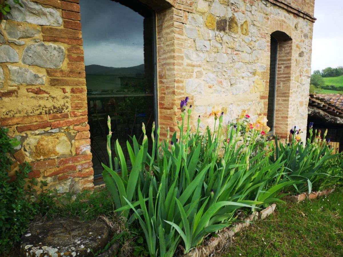 Agriturismo Poggiarellino - Montalcino Dış mekan fotoğraf