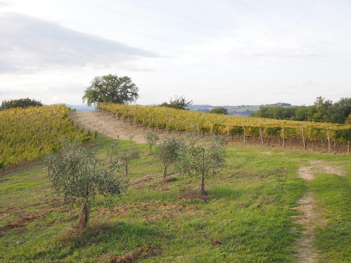 Agriturismo Poggiarellino - Montalcino Dış mekan fotoğraf
