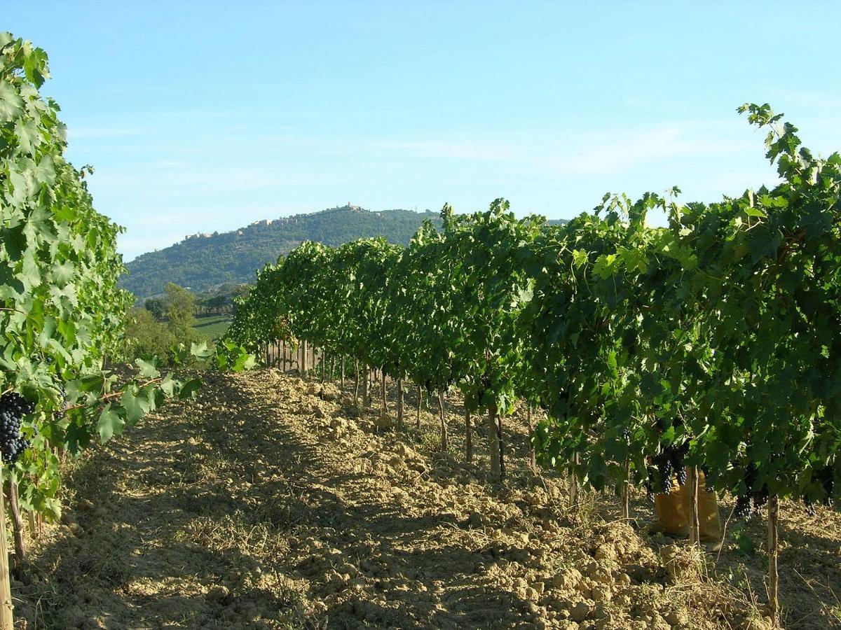 Agriturismo Poggiarellino - Montalcino Dış mekan fotoğraf