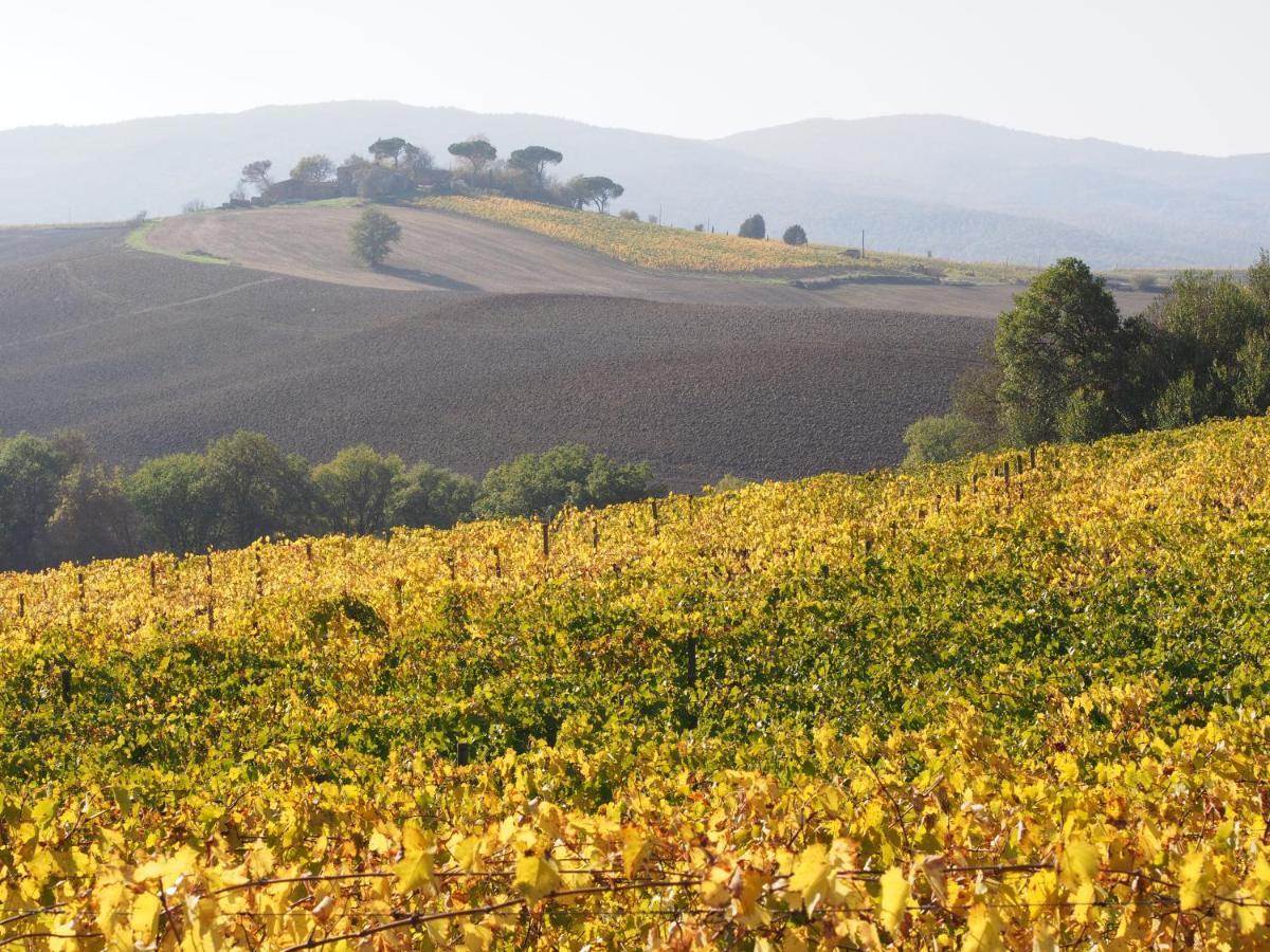 Agriturismo Poggiarellino - Montalcino Dış mekan fotoğraf