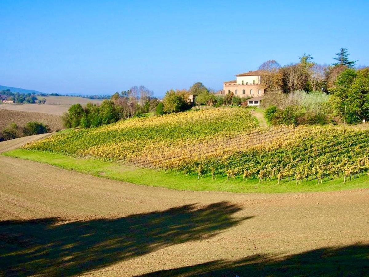 Agriturismo Poggiarellino - Montalcino Dış mekan fotoğraf